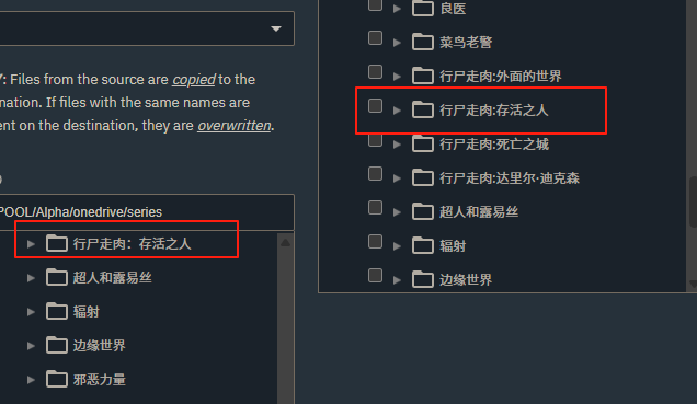 TrueNas中的显示